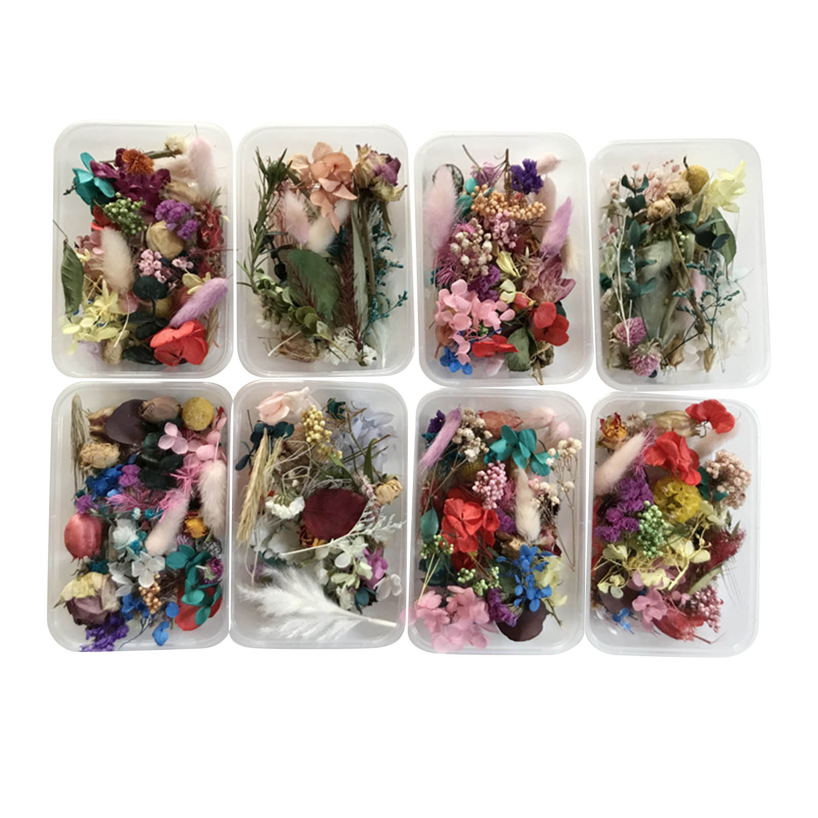 Dried Herbs - Kit de fleurs séchées naturelles, œuvre