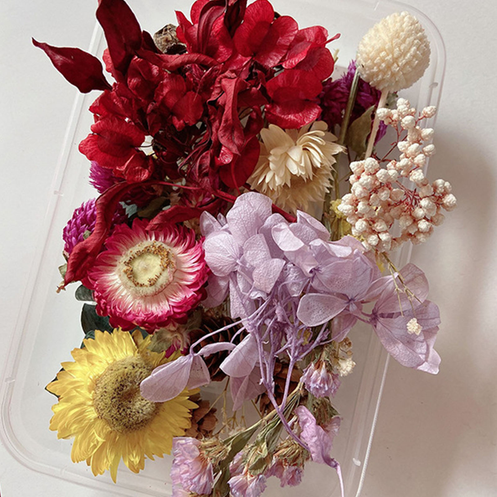 Kit de fleurs séchées naturell - Dried Herbs avis et prix