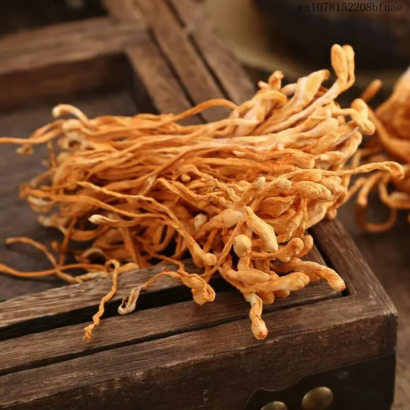 Fleurs de Cordyceps séchées 25 - Dried Herbs avis et prix