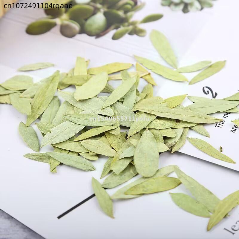 Feuilles et poudre de séné bio - Dried Herbs avis et prix
